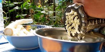 маринованный хрен на зиму