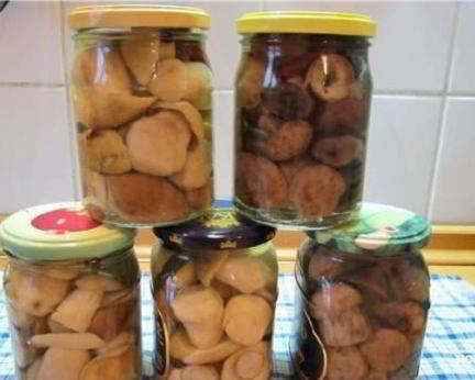 Маринованные белые грибы с корицей