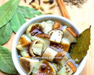 Маринованные белые грибы