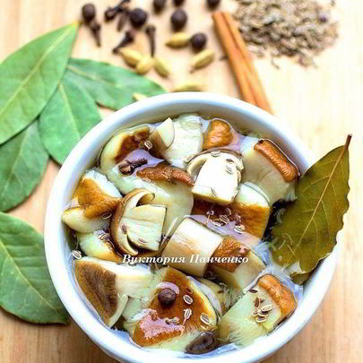 Маринованные белые грибы