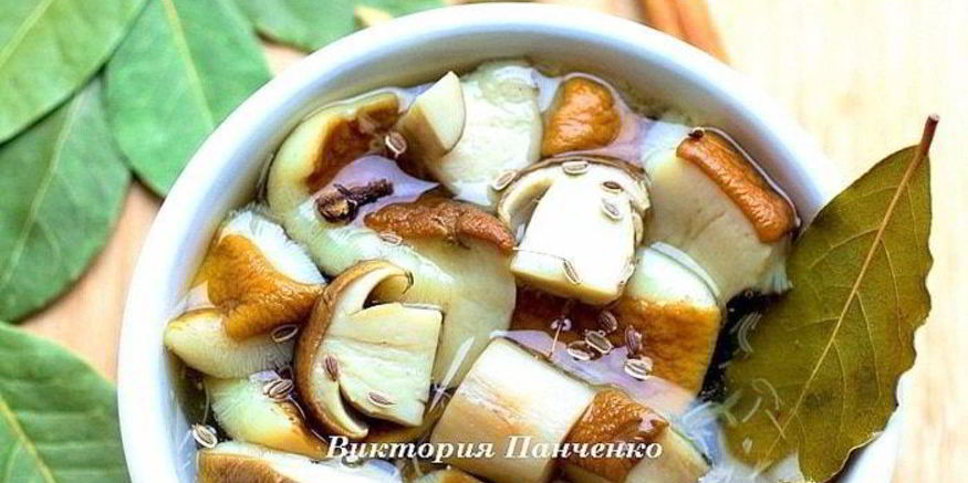 Рецепт маринованных белых грибов
