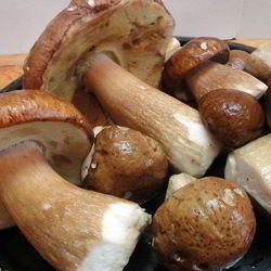 Маринованные грибы