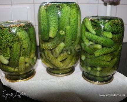 Маринованные хрустящие огурчики на зиму