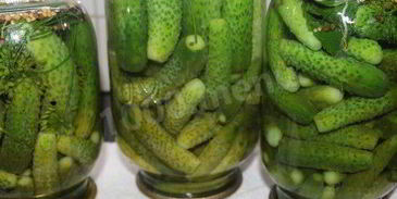 маринованные хрустящие огурчики на зиму