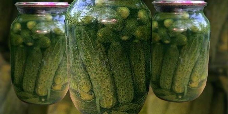 Рецепт маринованных огурцов по-болгарски на зиму