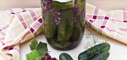 Рецепты маринованных огурцов