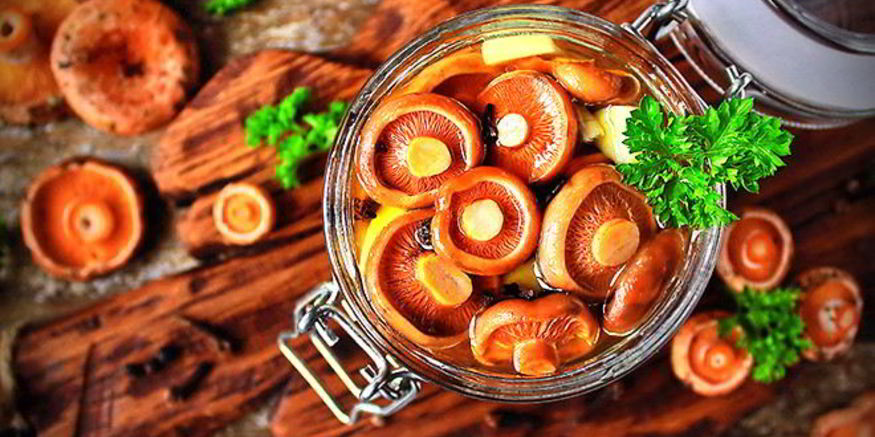 Рецепт маринованных рыжиков