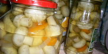 маринованные шампиньоны новогодние