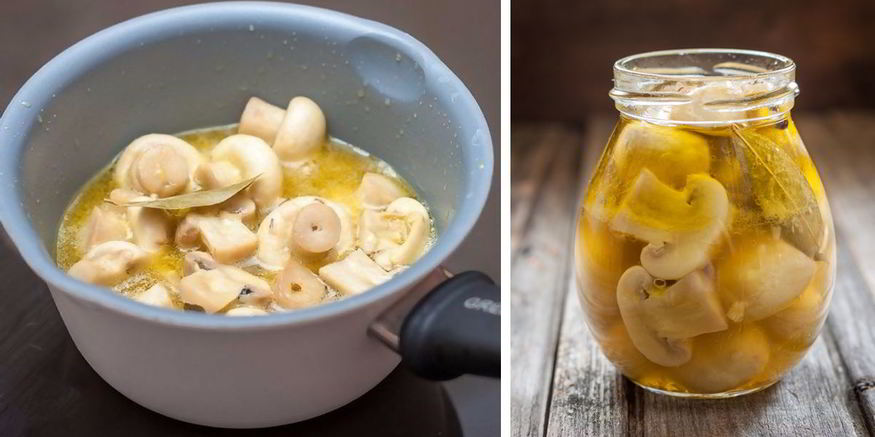 Рецепт маринованных шампиньонов