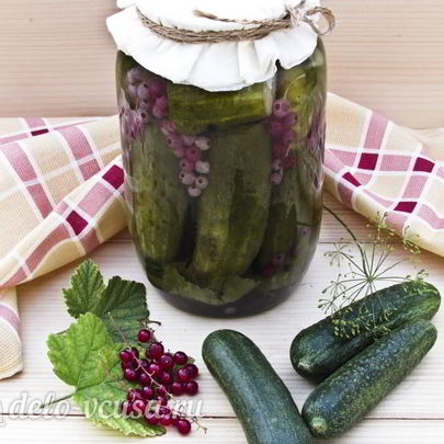 Огурцы маринованные с красной смородиной