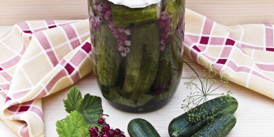 Рецепт огурцов маринованных с красной смородиной