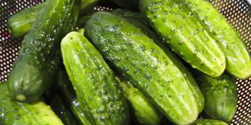 огурцы маринованные с красной смородиной