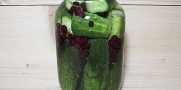 огурцы маринованные с красной смородиной