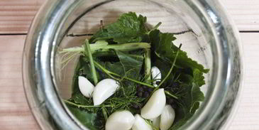 огурцы маринованные с красной смородиной