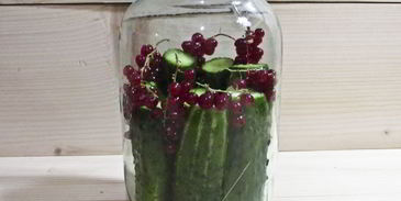 огурцы маринованные с красной смородиной