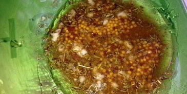 помидоры маринованные на закуску