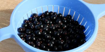 мороженные ягоды на зиму