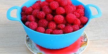 мороженные ягоды на зиму