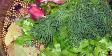 острый перец на зиму