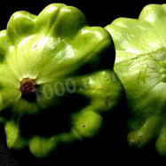 Рецепт Патиссонов консервированных