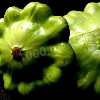 Патиссоны консервированные