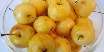домашнее яблочное повидло