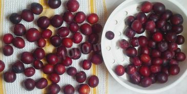 сливовое повидло из слив на зиму