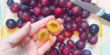 сливовое повидло из слив на зиму