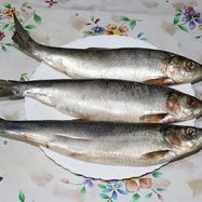 Рецепт Домашней соленой селедки