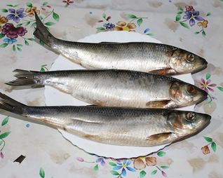 Домашняя соленая селедка