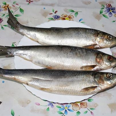 Домашняя соленая селедка