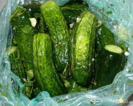 Малосольные огурчики без рассола