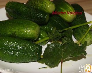 Малосольные огурчики