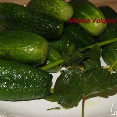 Малосольные огурчики