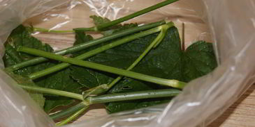 малосольные огурчики