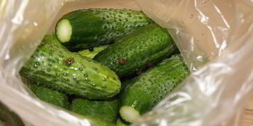 малосольные огурчики