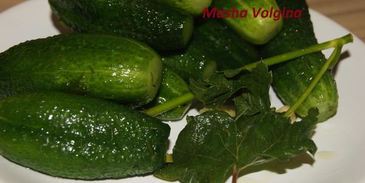 малосольные огурчики