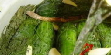 малосольные огурцы в холодной воде