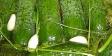 малосольные огурцы в холодной воде