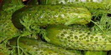 малосольные огурцы в холодной воде