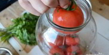 малосольные помидоры по-грузински