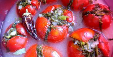 малосольные помидоры суточные