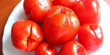 малосольные помидоры суточные