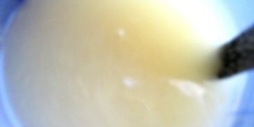 малосольные помидоры суточные