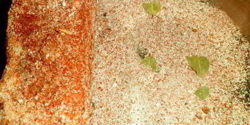 пряное сало