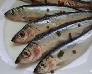 Салака пряного посола