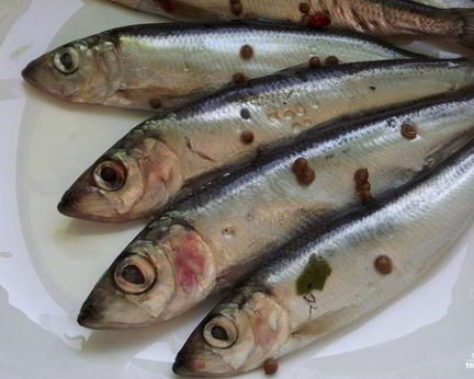 Салака пряного посола