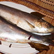 Рецепт Сельди домашнего посола