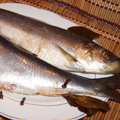 Сельдь домашнего посола