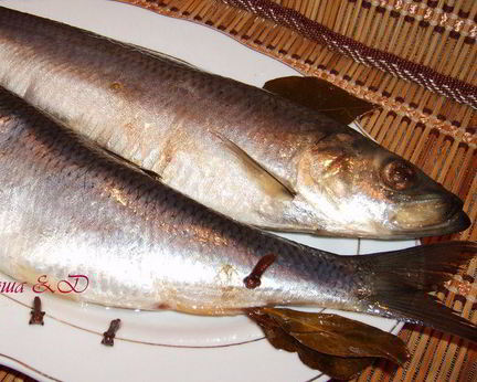 Сельдь домашнего посола